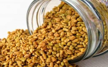 المنافع الصحّية للحلبة